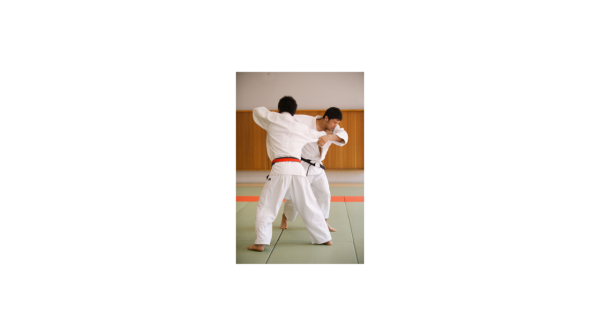 Formation grade kata  UV1 et technique UV2 départementale, samedi 9 Novembre